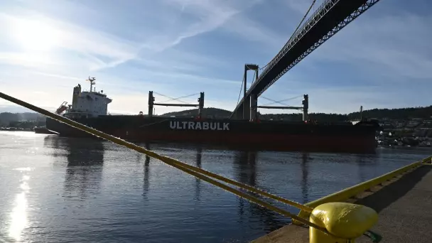 Bulkskipet «Ultra Dedication» seiler under Breviksbrua.