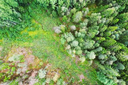 Dronebilde over Frier Vest-området